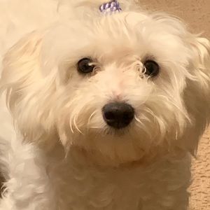 Meet your Posher, Debbie